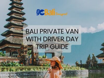 Bali Private Van with Driver Day trip Guide